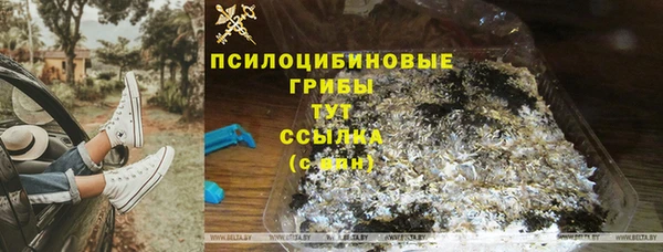 прущие грибы Алексеевка