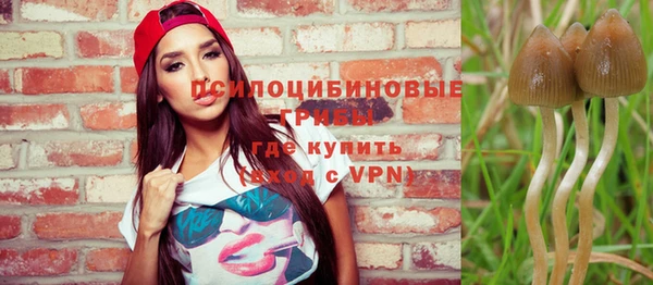 бутират Алзамай