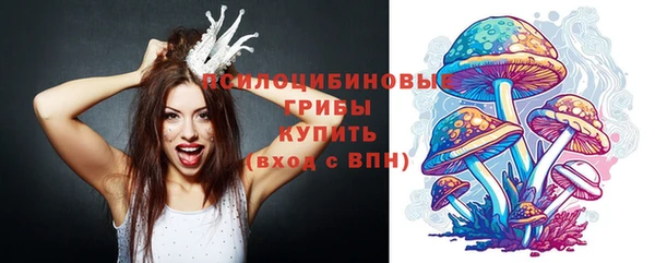 мескалин Алексин