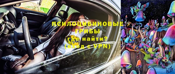 прущие грибы Алексеевка