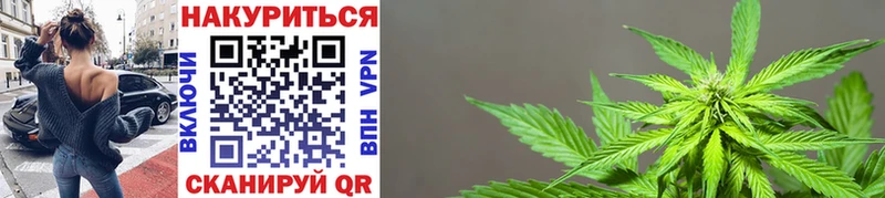 OMG сайт  закладка  Могоча  Шишки марихуана THC 21% 